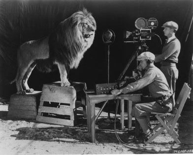 jackie-mgm-logo