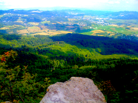 stavnica-sitno.jpg